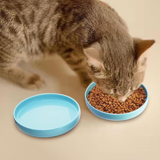 Ceramic Cat Bowls,Shallow Cat Dishes for Food and Water, 6 inch Matte Finish Wide Cat Food Bowl,Whisker Fatigue Free Pet Puppy Kitten Bowl Set of 3,Dishwasher Safe