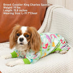 KYEESE Dog Pajamas Velvet Pjs Stretchy Pet Jammies Onesie Small Dog Pajamas with Colorful Dinosaurs Comfy Clothes for Dogs Boy Girl Puppy Coat Soft Outfit, Small