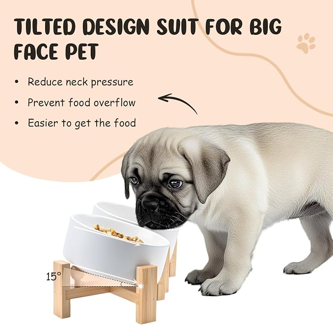 SPUNKYJUNKY 15° Slanted Ceramic Dog and Cat Bowl with Wooden Stand, Tilted Bulldog Food and Water Bowl No Slip Non-Spill for Cats Medium Dogs Big Face Pets 13.5 OZ (1.7 Cups, White × 2)