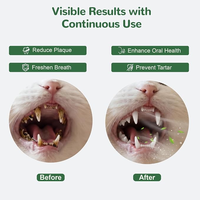 Cat Dental Care Powder, Cat Teeth Cleaning with Natural Ingredients and Probiotics, Dental Powder for Cats Breath Fresh Tartar Remover Plaque Off, 160g