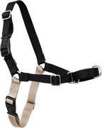PetSafe Easy Walk Harness for Dogs - Pull-Free Walks - Patented Martingale Loop Design - Front Chest Leash Attachment - Comfort Straps - Breathable Harness Design - Medium, Black/Silver