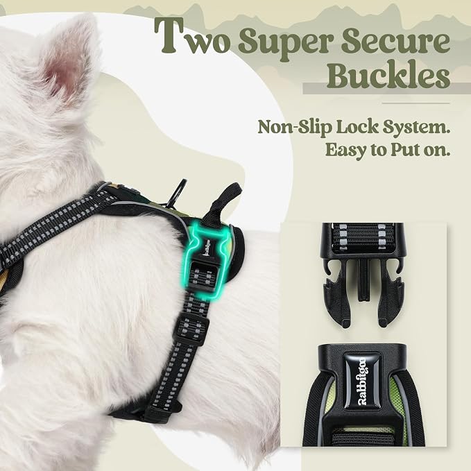 rabbitgoo Dog Harness, No Pull for Small Dogs with 2 Leash Clips, Pet Vest | No Choke with Handle, Adjustable Soft Padded, Reflective, Easy Control for Walking, Green Mountain, X-Small