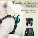 rabbitgoo Dog Harness, No Pull for Small Dogs with 2 Leash Clips, Pet Vest | No Choke with Handle, Adjustable Soft Padded, Reflective, Easy Control for Walking, Green Mountain, X-Small
