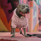 Spark Paws Dog Hoodie – Premium Dog Sweater for Small, Medium, and Large Dogs | Warm Outfits for French Bulldogs, Pitbull, Puppy, Winter Jacket Alternative - Dusty Pink - S