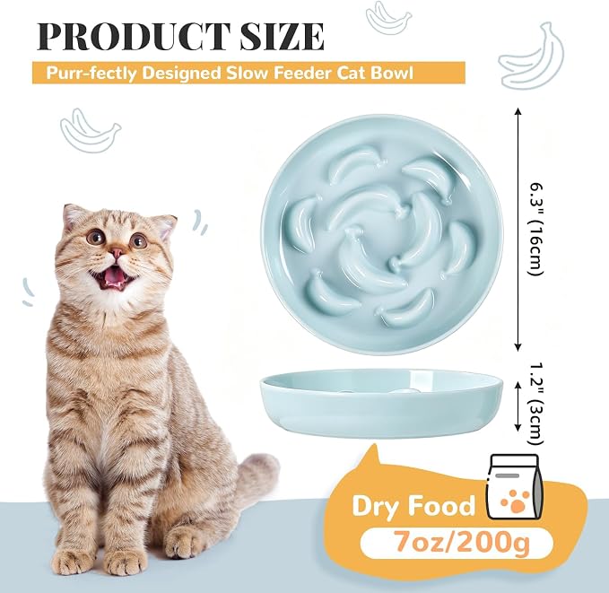 Melamine Cat Slow Feeder Bowl - Pastel Series Cat Plate for Dry and Wet Food - Cute Maze Feeder Dish for Healthy Eating - Dishwasher Safe - 6.3''W x 1.2''H - 7 OZ - Mint Green