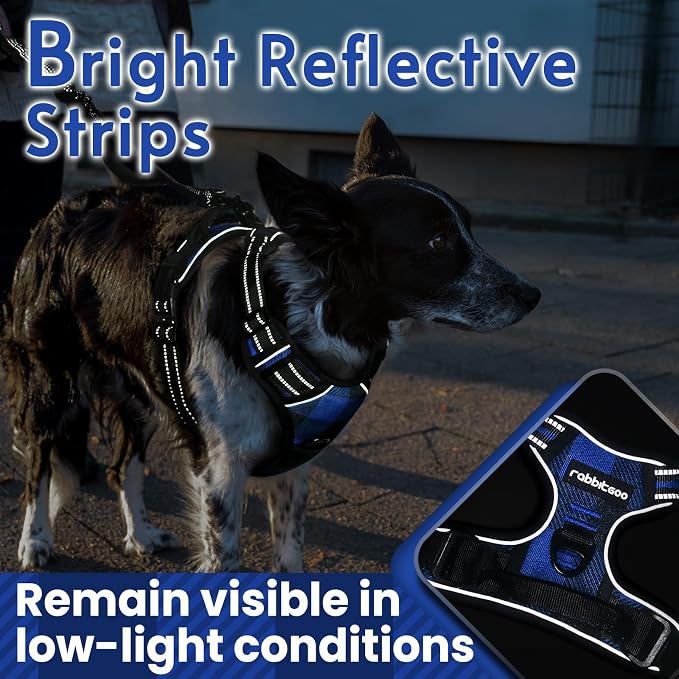 rabbitgoo Dog Harness, No Pull for Large Dogs with 2 Leash Clips, Pet Vest | No Choke with Handle, Adjustable Soft Padded, Reflective, Easy Control for Walking, Blue Plaid, X-Large