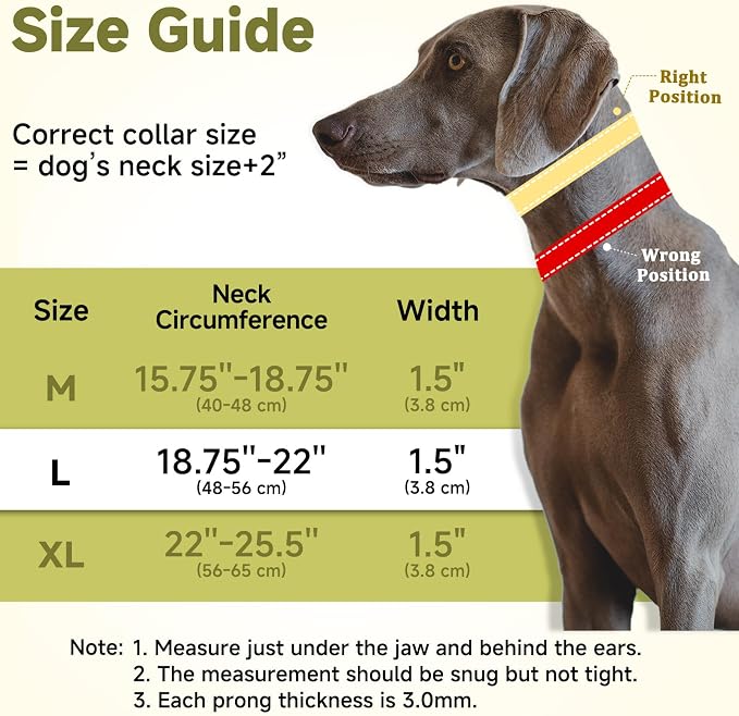Mayerzon Martingale No Pull Dog Collar with Alloy Buckle, Black, L, 3mm | For Large Medium Dogs that Pull, Patented Dog Walking Training Collar, Thick Foam Padding, Reflective, Adjustable, 1.5'' Wide