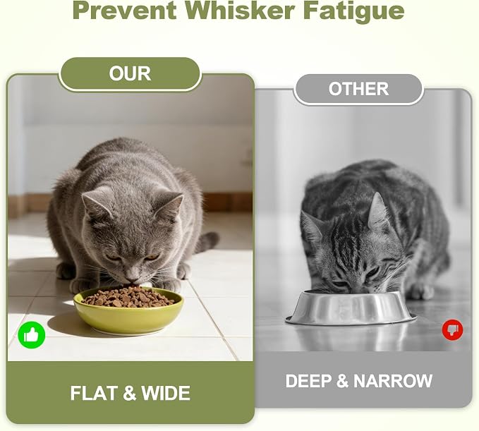 SPUNKYJUNKY Extra Wide Elevated Ceramic Cat Bowl with Acacia Wood Stand Whisker Friendly (Cat Paw Pattern, 2 Pack, Green)