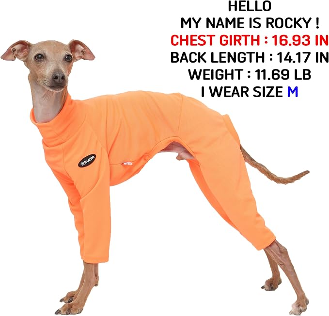 D Doggy Star Italian Greyhound Clothes Stretchy Neon Onesie Spring Summer (XL,Onsi Ne Orange)