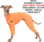 D Doggy Star Italian Greyhound Clothes Stretchy Neon Onesie Spring Summer (2XL,Onsi Ne Orange)