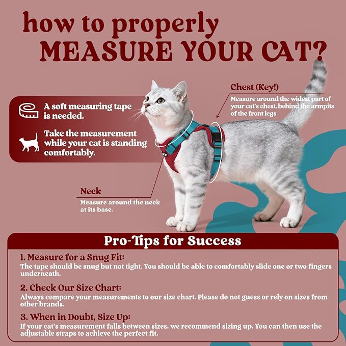 rabbitgoo Cat Harness and Leash Set, Escape Proof Vest, Red & Teal | Soft Breathable Mesh, Easy Adjustable Fit, Snap Buckles, Sturdy Clip, Reflective Strips, for Kittens & Small Cats Walks, Xxs