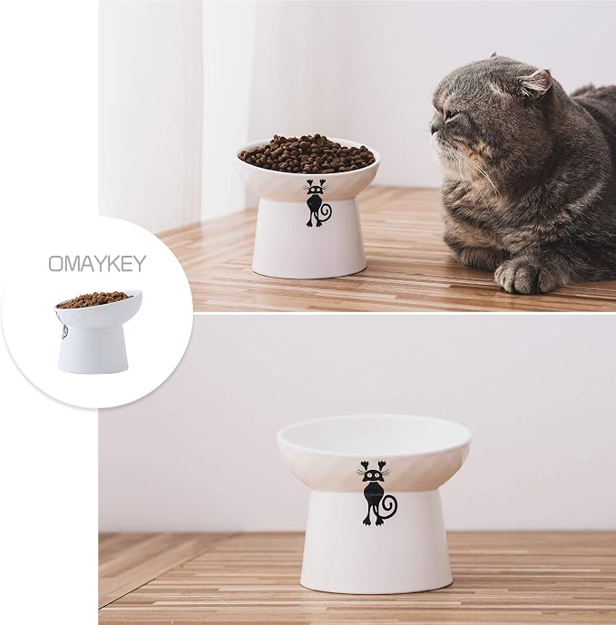 Ceramic Tilted Raised Cat Bowls, Elevated Cat Food and Water Bowl Set | Prevent Neck, Anti Vomit, Dish for Cats and Small Dogs, Dishwasher and Microwave Safe - White, Set of 2