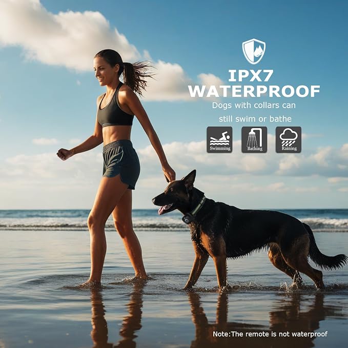 Dog Shock Collar, E-Collar with Security Lock, IPX8, Rechargeable | Dog Training Collar With Remote, 2600FT Dog Electric Collar, Beep/Vibration/Shock, Fits Large Medium Small Dogs All Breeds