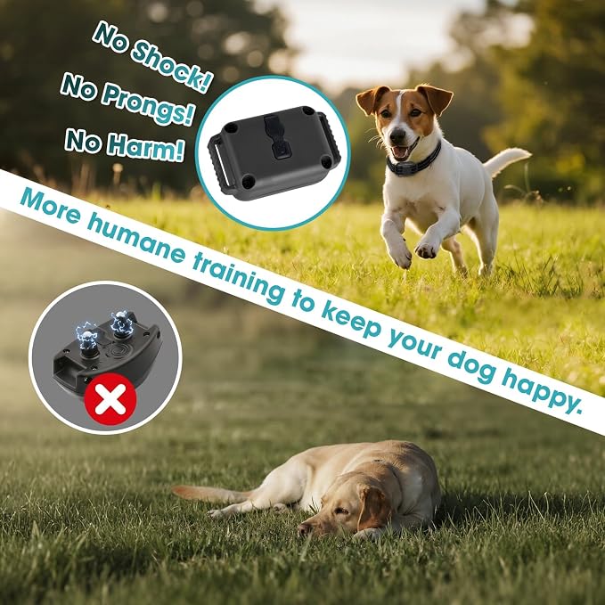 Lightweight No Shock Dog Training Collar, 2000ft Remote Control, Ultra-Small Vibrating Collar for Small (5-15lbs), Medium & Large Dogs, Safe Lock, Beep/Vibrate Modes, Prong-Free, Waterproof,Black