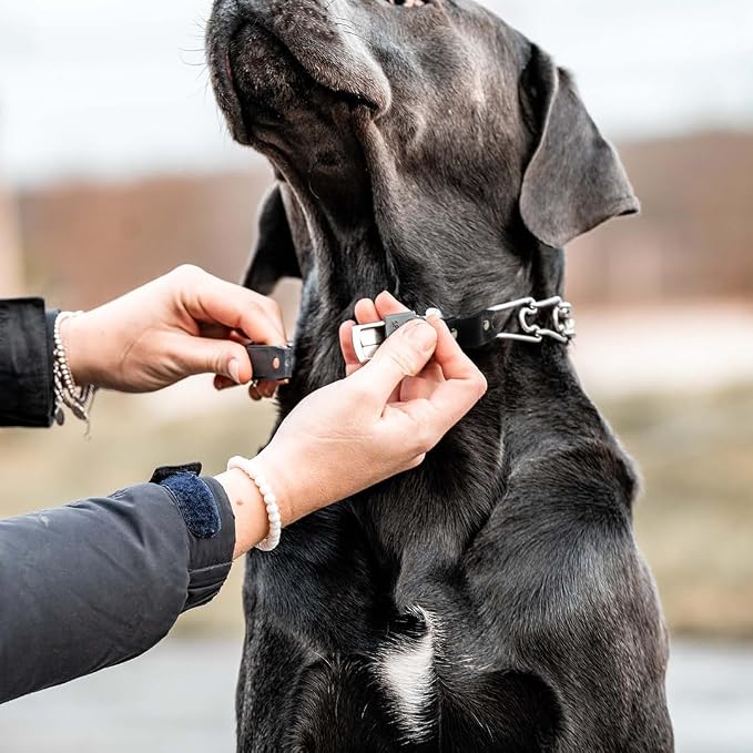 Herm Sprenger Prong Collar for Dog Training with Easy Quick Release Cliclock & ORing - German Made Dog Collar with Chrome Plated Steel 4mm Prongs for Extra Large Dogs (26-31" Neck)