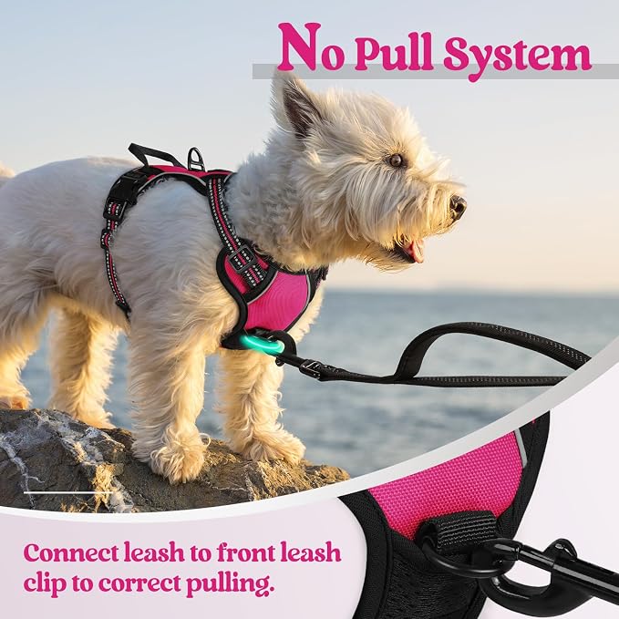 rabbitgoo Dog Harness No Pull with 2 Leash Clips, Adjustable Soft Padded, Reflective Oxford No Choke Pet Vest with Easy Control Handle for Puppy, Hot Pink, XS | No Choke with Handle, Adjustable Soft Padded, Reflective, Easy Control for Walking, Hot Pin...