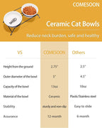Anti-Vomiting Raised Cat Bowls - 2 × 13 oz Ceramic Cat Food & Water Bowls with Non-Slip Stainless Steel Stand, Dishwasher Safe for Indoor Cats