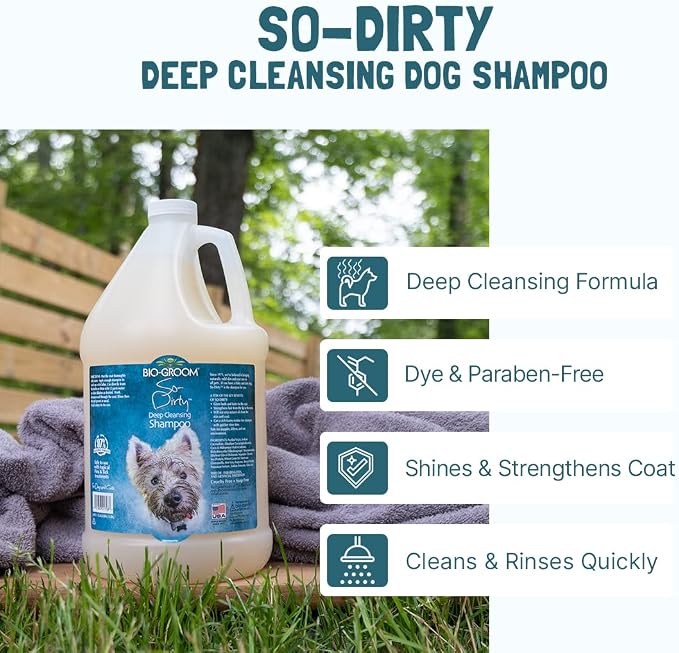 Bio-Groom So-Dirty Dog Shampoo, Quick Rinse Pet Shampoo, 12 fl oz, 1-Pack | Dog Bathing Supplies, Puppy Wash, Grooming Supplies, Cruelty-Free, Made in USA