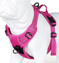 JUXZH Truelove No Pull Dog Harness with Easy Control Handle and 2 Leash Attachments,Reflective Adjustable Pet Vest