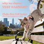 rabbitgoo Cat Harness and Leash Set, Escape Proof Vest, Light Salmon Pink | Soft Breathable Mesh, Easy Adjustable Fit, Snap Buckles, Sturdy Clip, Reflective Strips, for Medium to Large Cats Walks, M