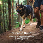 Ruffwear, Front Range Dog Harness, Reflective Soft Padded Everyday Harness with Dual Leash Clips, Adjustable and Lightweight Fit for Training or Walking for All Dogs, Coastal Mountains, Medium