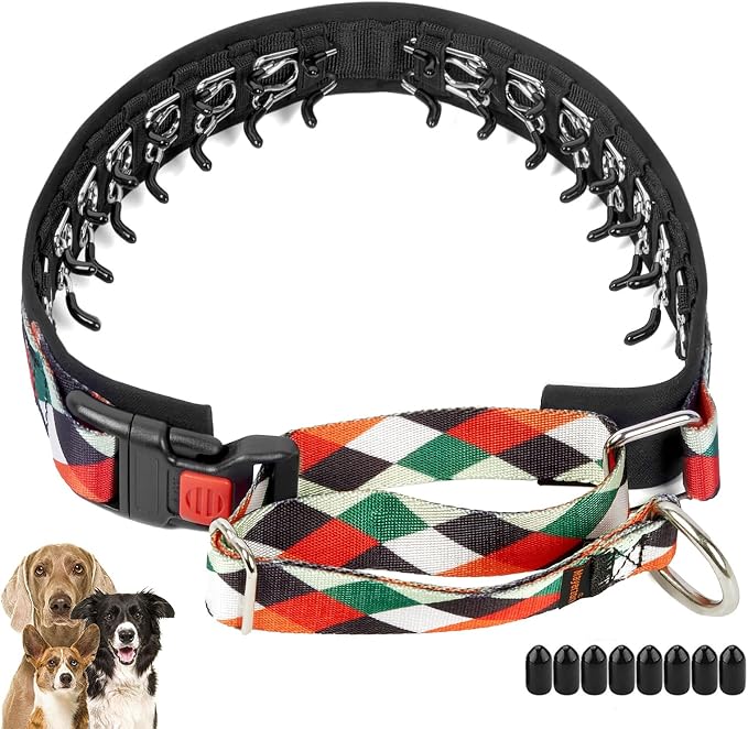 Mayerzon No Pull Dog Prong Collar Martingale, Personalized Pinch Collar | Anti Pull Collar with Buckle for Large Medium Small Dogs, Safe for Walking Training, Festivals(Pop Art, L)