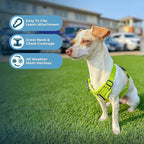 Best Pet Supplies Voyager Step-in Air All Weather Mesh Harness and Reflective Dog 5ft Leash Combo with Neoprene Handle, for Small, Medium and Large Breed Puppies - Lime Green, XX-Small
