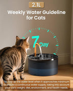 MISFANS Cat Water Fountain with 3-Pack Replaceable Filters,Copper Faucet | 71oz/2.1L Cat Fountain for Drinking, MISFANS-Designed Pump & Filter, Plastic Automatic Pet Water Fountain Bowl & Dispenser