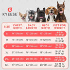 KYEESE 2Pack Dog Shirt, Soft Striped Dogs T Shirts, Lightweight Doggie Tank Top Cat Clothes, Sleeveless Dog Shirt for Small Dogs, Stretchy Pet Vest, Green, Small