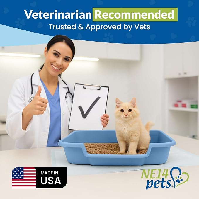 KittyGoHere Senior Cat Litter Box Made in USA 2 Pack, Large Little Boy Blue | Open Top Low Entrance Kitty Litter Box, Lightweight Low Entry Large Litter pan, Durable Design for Easy Cleaning