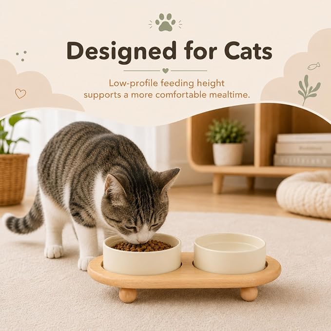 Havniva Raised Cat Bowl 5.1” Elevated Ceramic Cat Food and Water Bowl Set | Cat Bowls Elevated, Whisker Friendly Cat Bowl, Non-Slip Wood Stand, Food-Grade Ceramic, Wide Opening, Dishwasher Safe