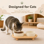 Havniva Raised Cat Bowl 5.1” Elevated Ceramic Cat Food and Water Bowl Set | Cat Bowls Elevated, Whisker Friendly Cat Bowl, Non-Slip Wood Stand, Food-Grade Ceramic, Wide Opening, Dishwasher Safe