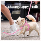 rabbitgoo Dog Harness Medium Sized and Leash Set, Step-in Puppy Pet Vest | Light, Soft, Breathable Air Mesh, Easy on and Remove with Hook & Loop, Secure Reflective for Walking, Pink & Plaid Trim L