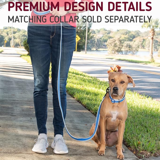 Leashboss 6ft Ultra Comfort Double-Thick Soft Padded Handle Reflective Leash for Large, Medium, and Small Dogs/Puppies | Heavy Duty Nylon