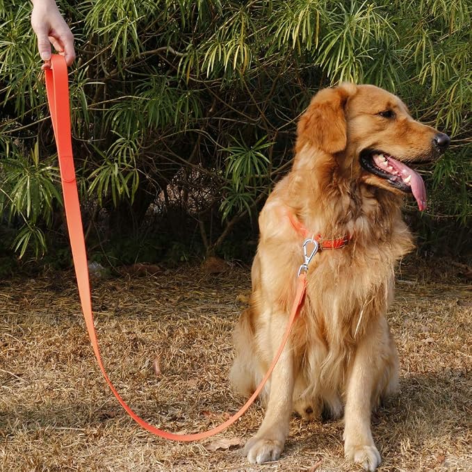 Waterproof Dog Training Leash 50FT 30FT 15FT 10FT 5FT Heavy Duty Recall Long Lead for Large Medium Small Dogs (5FT, Orange)