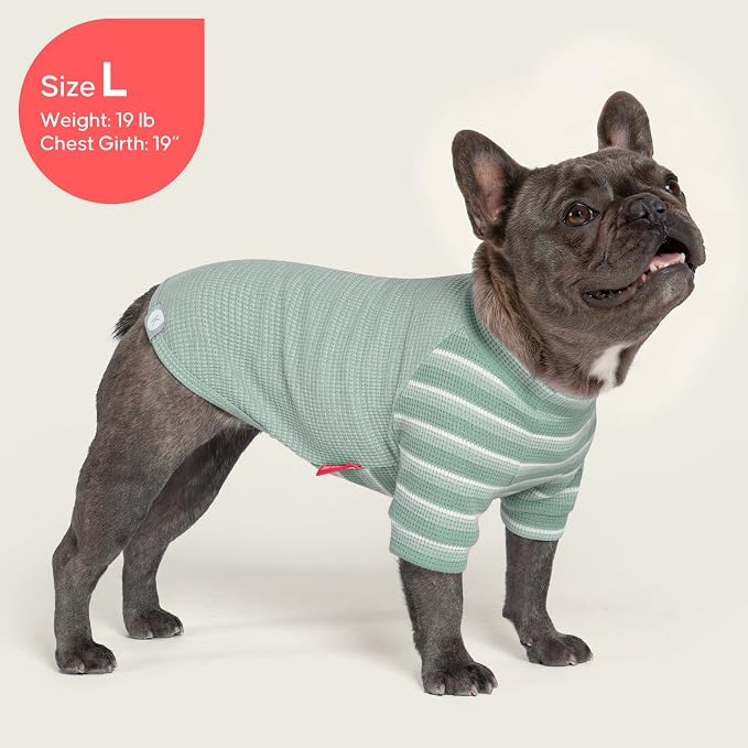 KYEESE 2Pack Waffle Dog Shirt with Sleeves Soft Striped Dog Sweater | Turtleneck, Cozy Warmth. Lightweight & Breathable, Gentle on Sensitive Skin, Free to Move, Comfortable Daily Wear