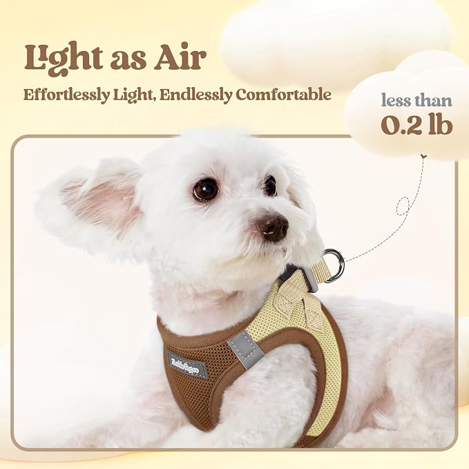 rabbitgoo Dog Harness Medium Sized and Leash Set, Step-in Puppy Pet Vest | Light, Soft, Breathable Air Mesh, Easy on and Remove with Hook & Loop, Secure Reflective for Walking, Brown & Beige L
