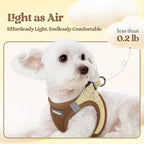 rabbitgoo Dog Harness Small Sized and Leash Set, Step-in Puppy Pet Vest | Light, Soft, Breathable Air Mesh, Easy on and Remove with Hook & Loop, Secure Reflective for Walking, Brown & Beige XXS