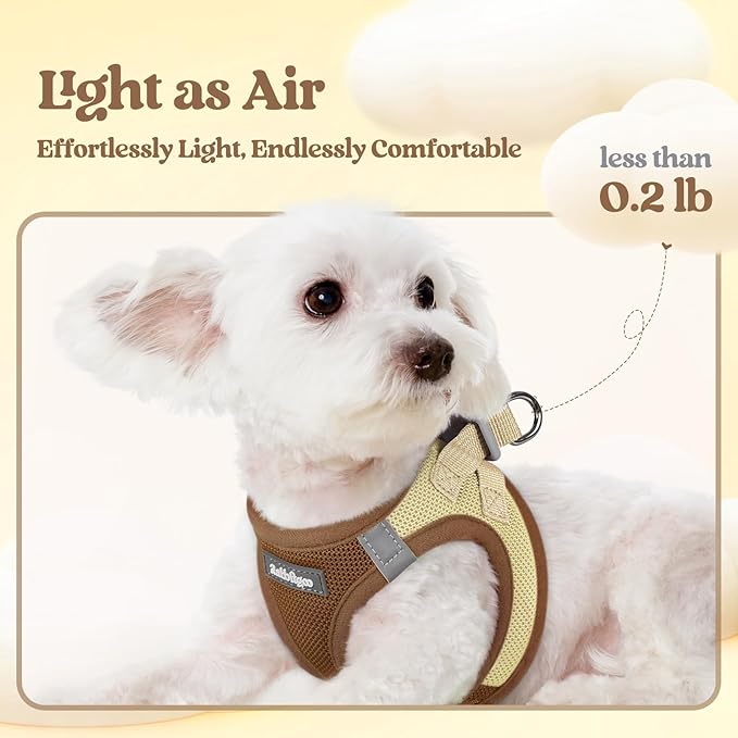 rabbitgoo Dog Harness Small Sized and Leash Set, Step-in Puppy Pet Vest | Light, Soft, Breathable Air Mesh, Easy on and Remove with Hook & Loop, Secure Reflective for Walking, Brown & Beige XXS