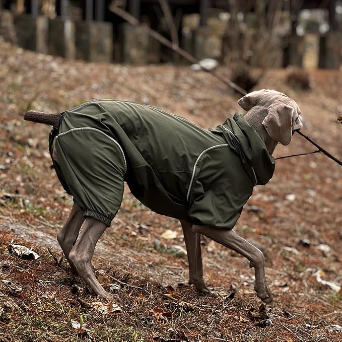 Dog Lightweight Windbreaker, Dog Outdoor 4-Legs Jacket, 0.5 lbs,Durable Water Repellent, Hooded, Easy on/Off with Collar and Harness, Reflective, Packable,Dark Olive (X-Large)