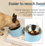 SuperDesign Mess Free 15° Slanted Bowl for Dogs and Cats, Tilted Angle Bulldog Bowl Dog Feeder, Non-Skid & Non-Spill, Easier to Reach Food L/2 Cup Blue