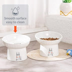 6.5 Inch Extra Wide Ceramic Raised Cat Bowls, Tilted Elevated Cat Bowl | Prevent Neck, Whisker Fatigue, Anti Vomit, for Elder Big Cats & Small Dogs, Dishwasher Microwave Safe, 2 Pack, White