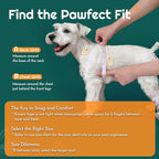 Eagloo Small Dog Harness and Leash Set, Step in Small Sized Puppy Pet Vest | Light, Soft, Breathable Air Mesh, Easy on and off with Hook & Loop, Reflective for Safe Walking, Forest Green, XS