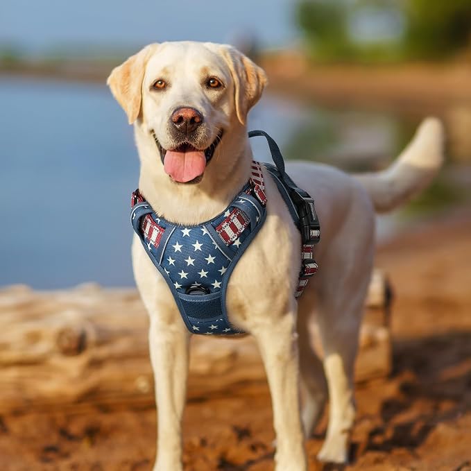 rabbitgoo Dog Harness, No Pull for Large Dogs with 2 Leash Clips, Pet Vest | No Choke with Handle, Adjustable Soft Padded, Reflective, Easy Control for Walking, Blue Star, X-Large
