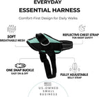ShawnCo Essential Dog Harness, No-Pull Pet Vest with 3 Leash Clips, No Choke, Reflective, Adjustable and Padded, for Easy Walking and Training for Small, Medium and Large Dogs (Seafoam, XL)