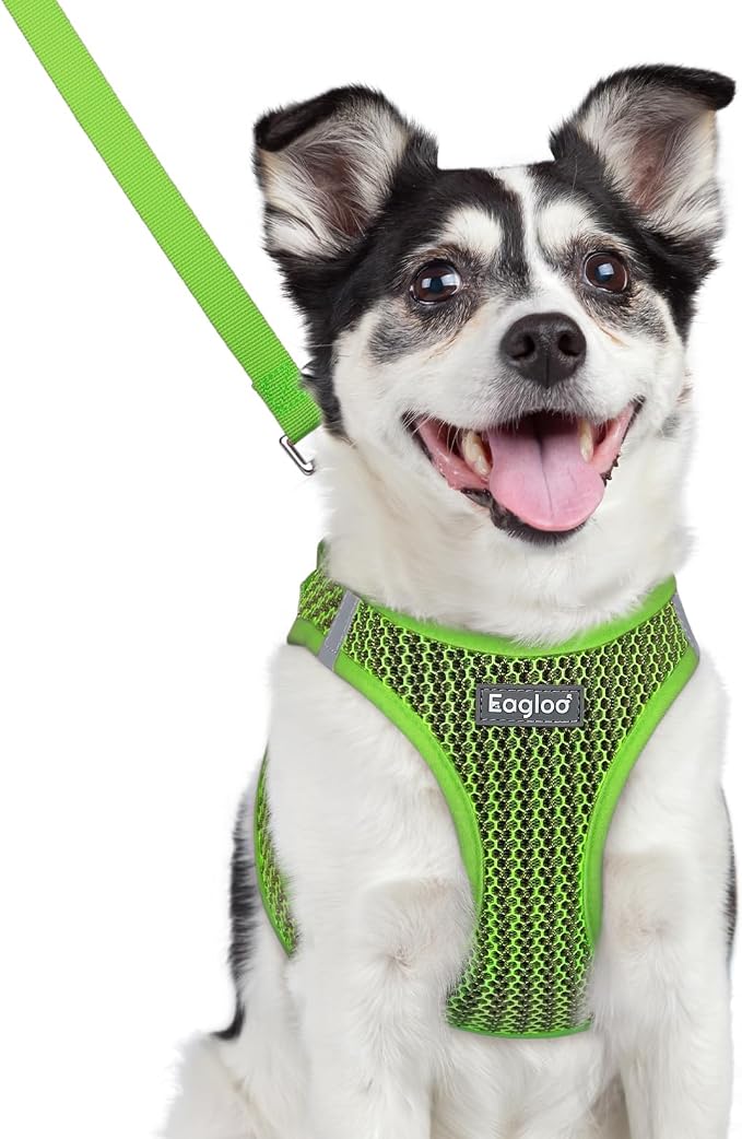 Eagloo Small Dog Harness and Leash Set, Step in Medium Small Puppy Pet Vest | Light, Soft, Breathable Air Mesh, Easy on and off with Hook & Loop, Reflective for Safe Walking, Green, L