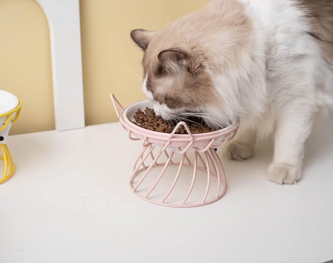 Raised Pet Food and Water Bowl, Cat and Small Dog Bowl, Tilted Ceramic Cat Water Bowl No Spill,15oz, Dishwasher Safe