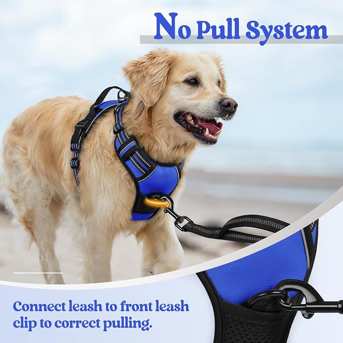 rabbitgoo Dog Harness, No Pull for Large Dogs with 2 Leash Clips, Pet Vest | No Choke with Handle, Adjustable Soft Padded, Reflective, Easy Control for Walking, Dazzling Blue, Large