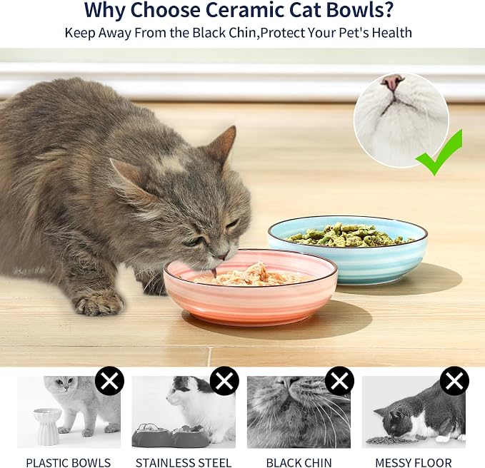 Selamica Ceramic Cat Bowls Set of 4, Cat Food Bowl Whisker Friendly, 5.6 Inch Shallow Wide Kitten Plates for Food and Water, Dishwasher Safe, Gradient Colors