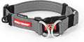EzyDog Double Up Dog Collar, Strong Double D-Rings - Small, Gray | Dual D-Rings for Superior Strength, Safety, and Comfort, Soft Touch Nylon Webbing, Reflective Stitching, Id Attachement Point